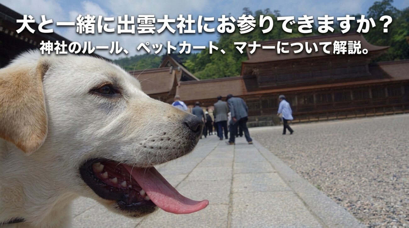 【2026年版】出雲大社は犬連れ参拝できる？境内ルール・ペットカート・マナーを出雲在住ライターが解説