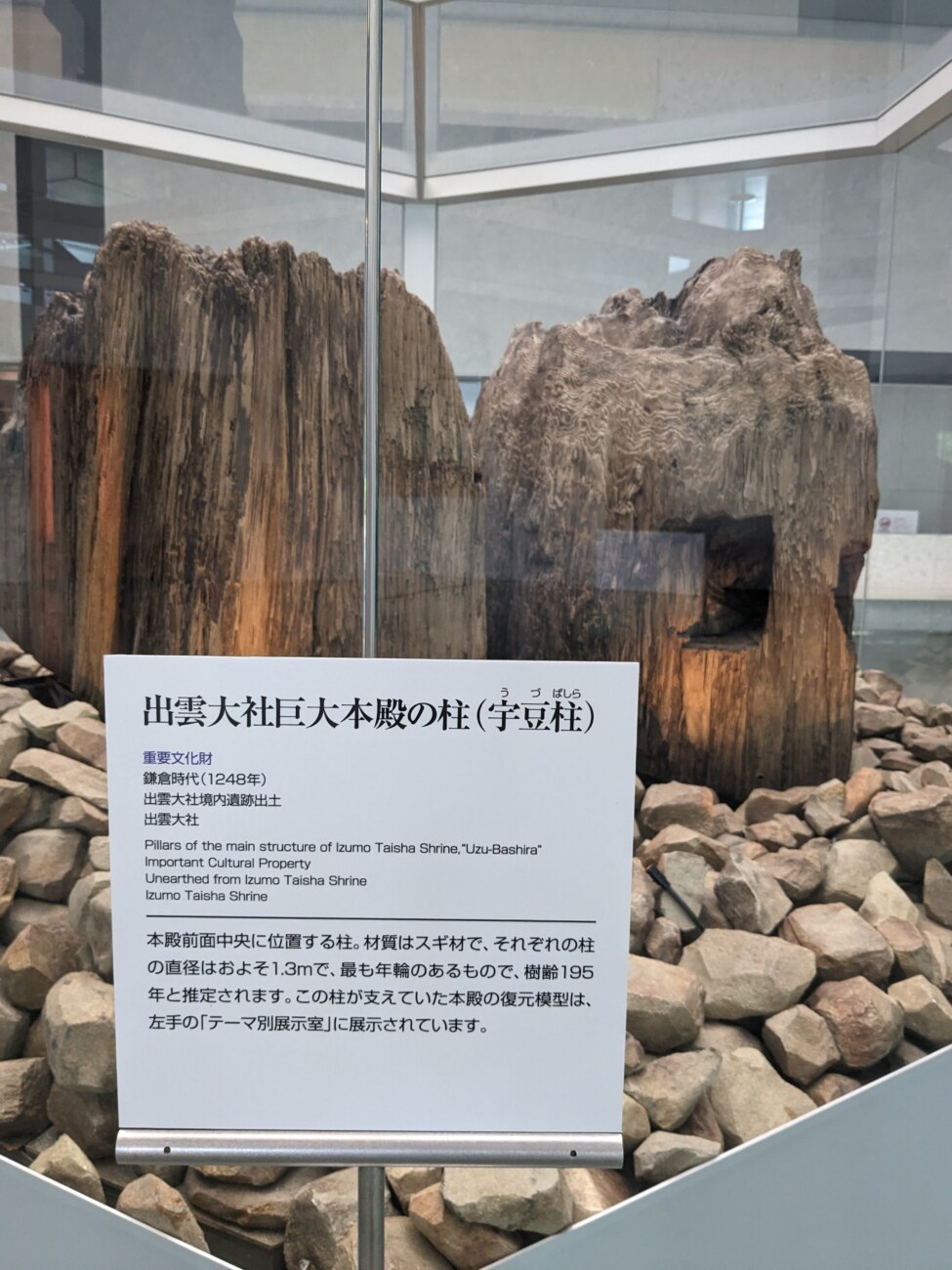 古代出雲歴史博物館に展示された出雲大社の宇豆柱