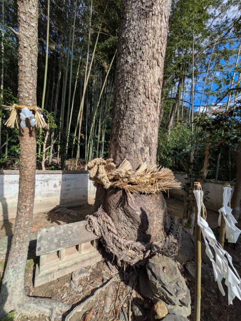 命主社　荒神　龍蛇