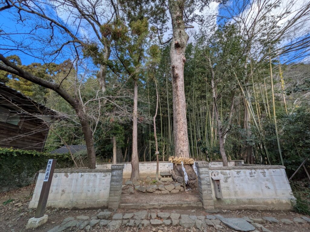 命主社　真名井遺跡