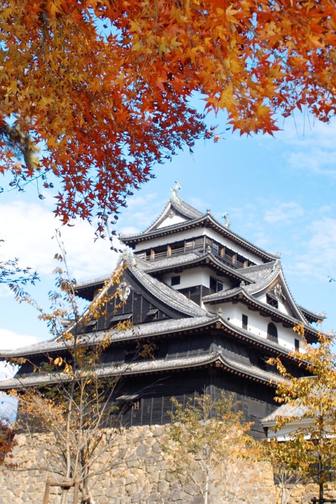 松江城 秋 紅葉