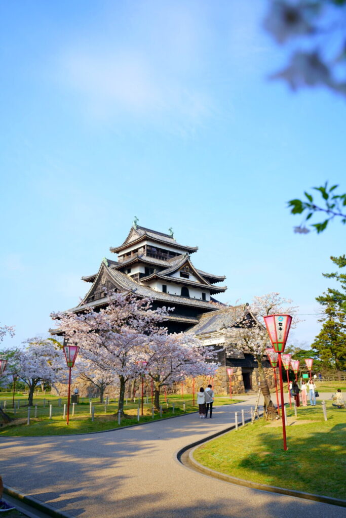 松江城 桜