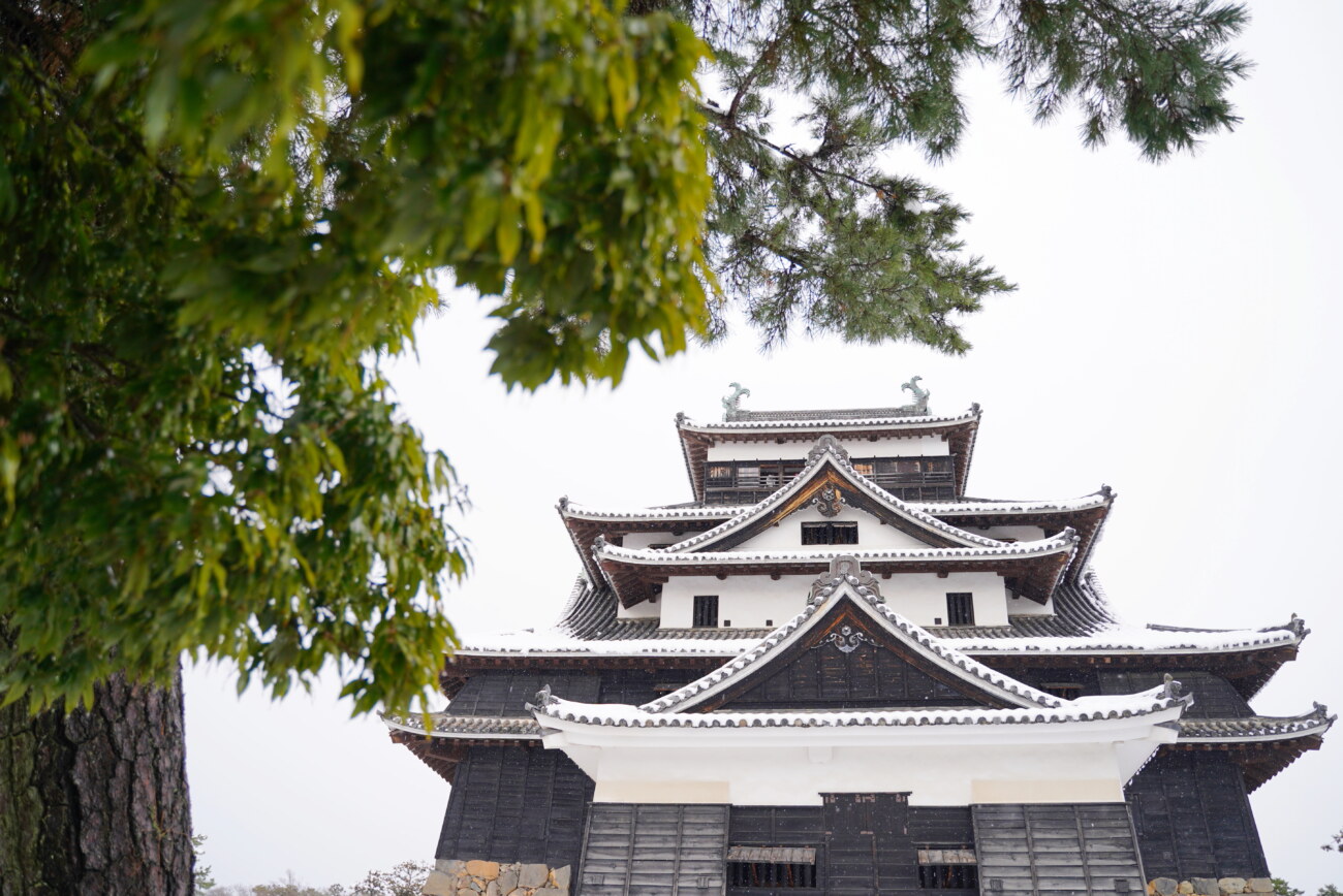 松江城 全景