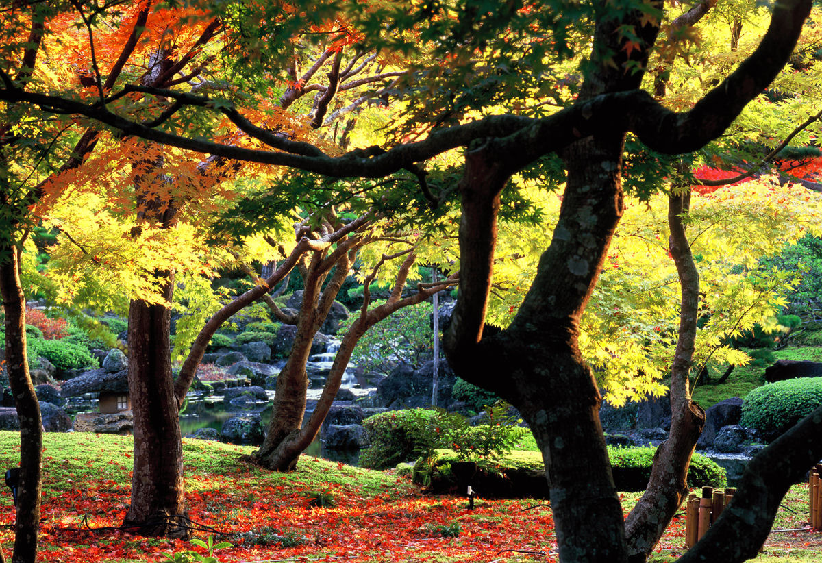 由志園 庭園 秋