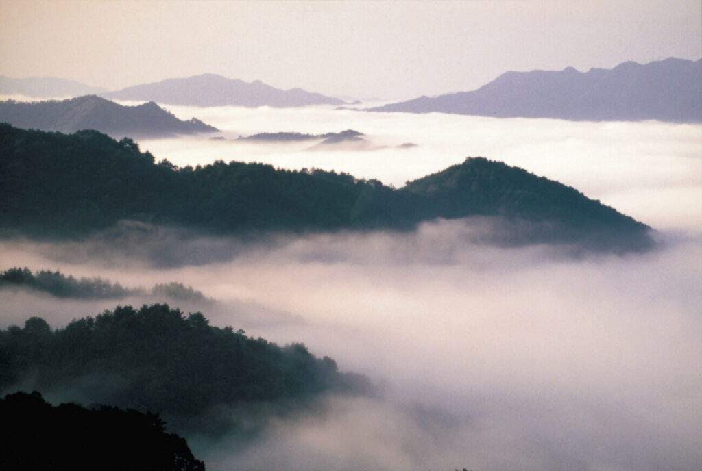三瓶山　雲海
