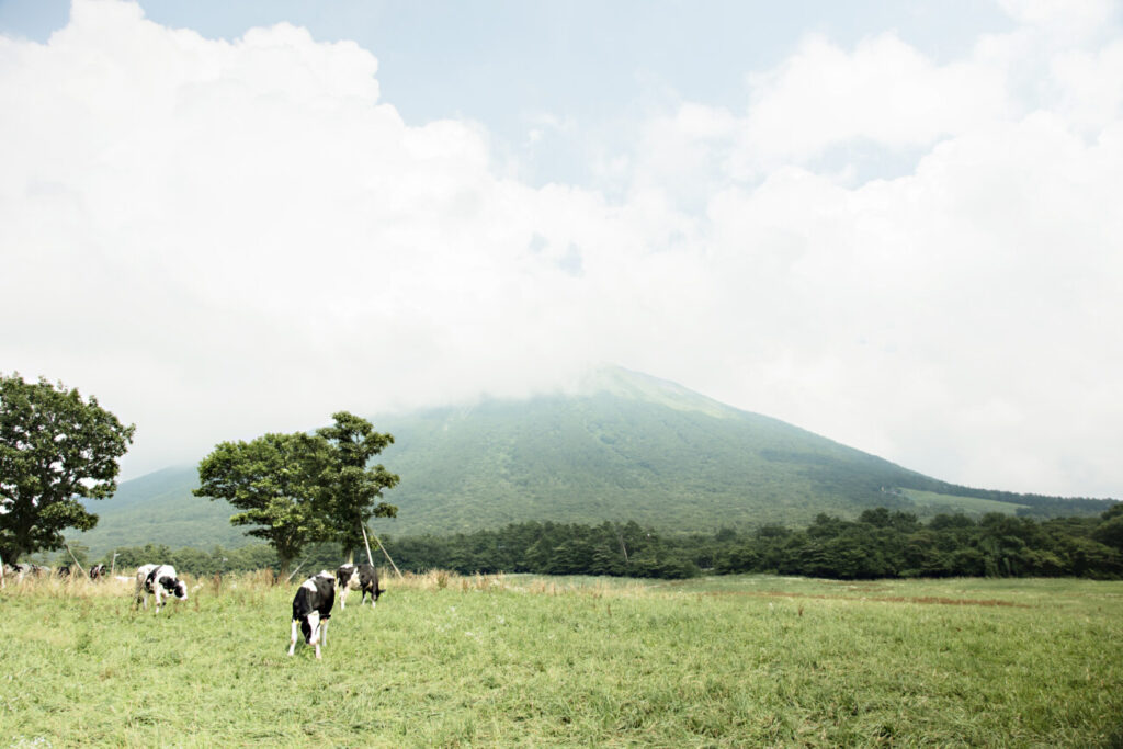 大山まきばみるくの里