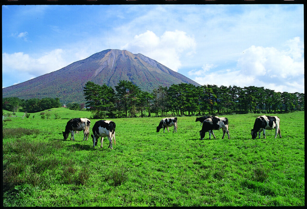 大山まきばみるくの里