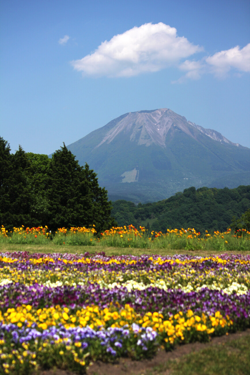 とっとり花回廊から見た大山