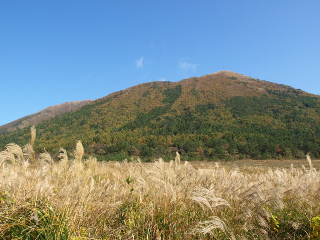 三瓶山　すすき