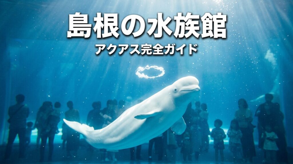 島根の水族館「アクアス」完全ガイド｜料金・シロイルカショー・所要時間・出雲からのアクセス