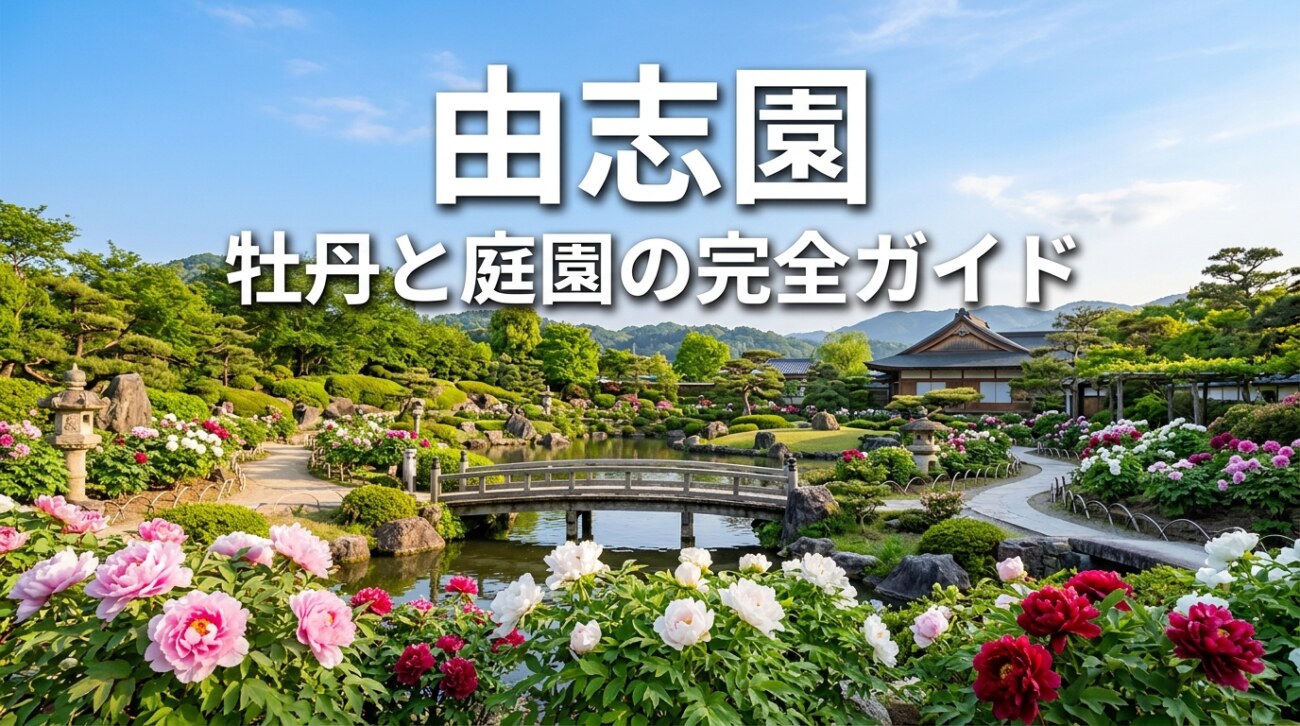 由志園の見どころ・料金・アクセス完全ガイド｜牡丹とイルミネーションの日本庭園