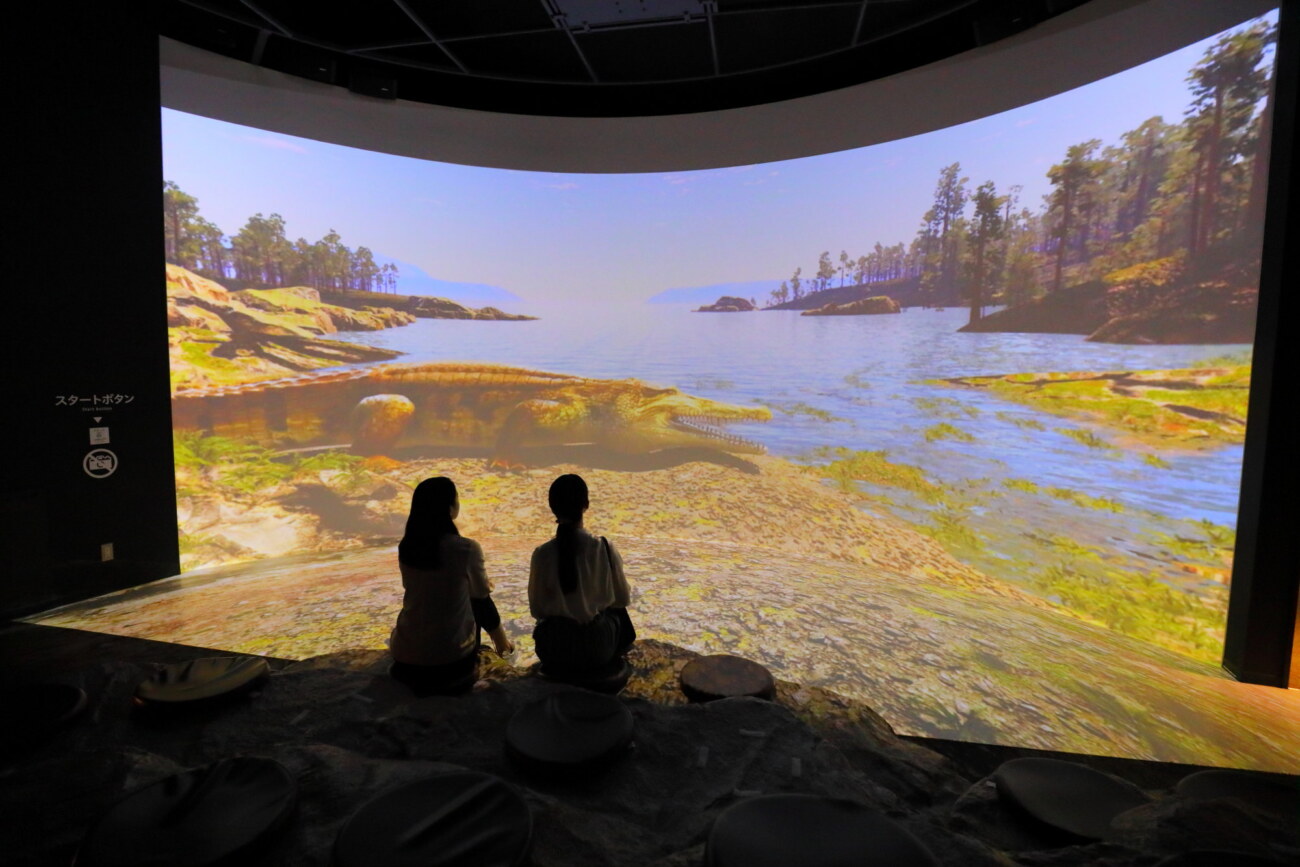 三瓶自然館サヒメルの大型ドームスクリーンでの映像シアター