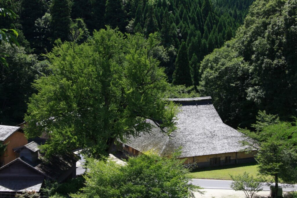 菅谷たたら 山内