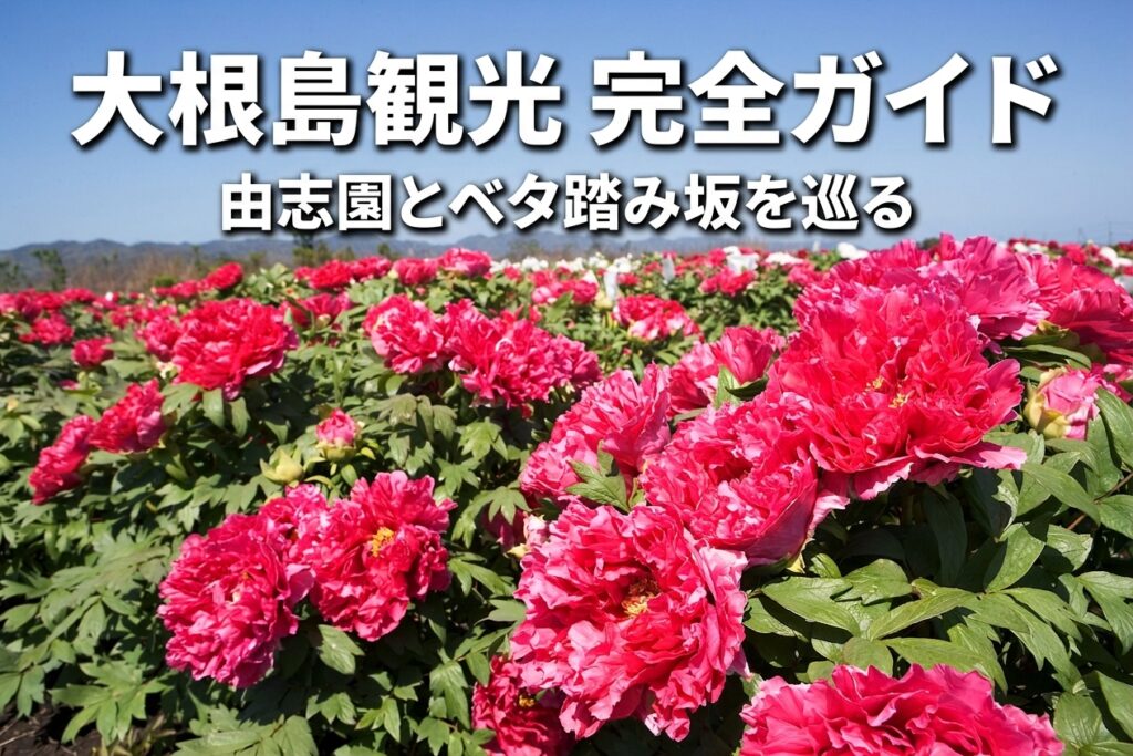 大根島観光完全ガイド｜由志園・ベタ踏み坂をめぐる松江・境港からの周遊プラン