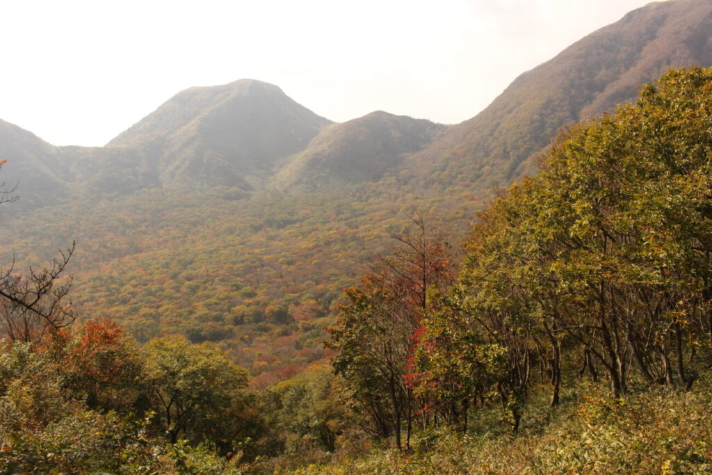 三瓶山　秋