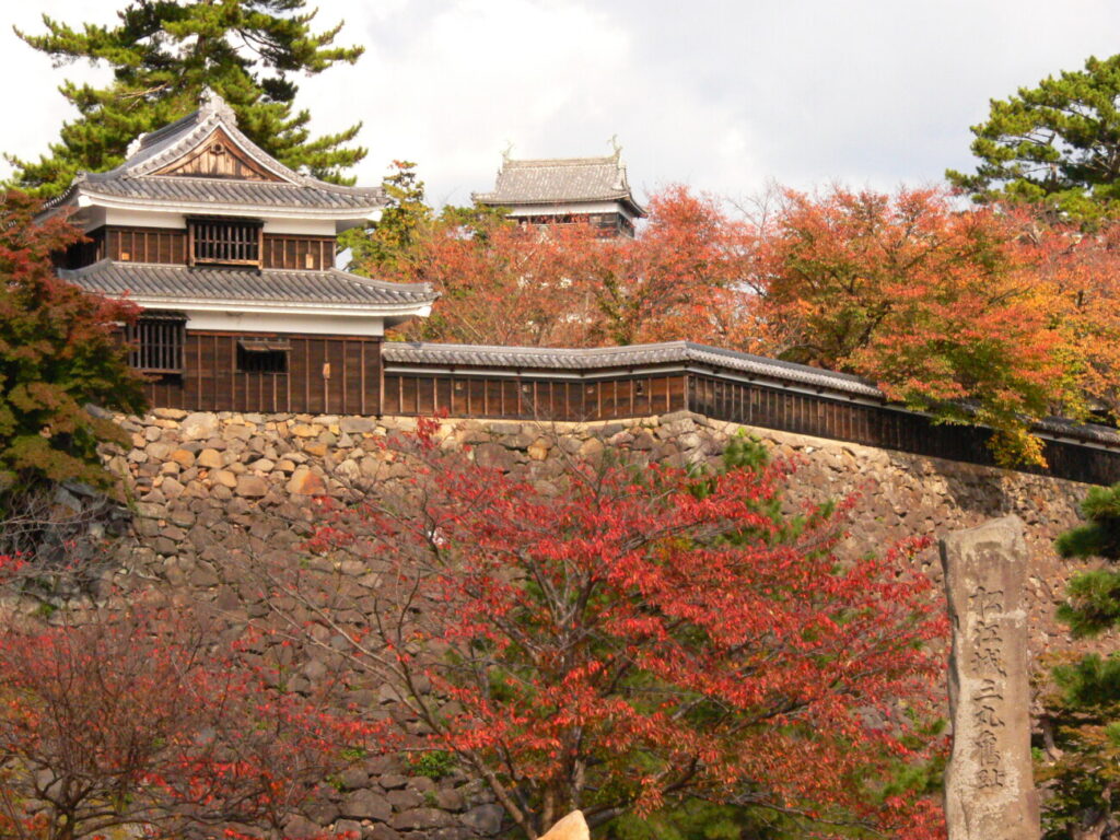 松江城 秋 紅葉