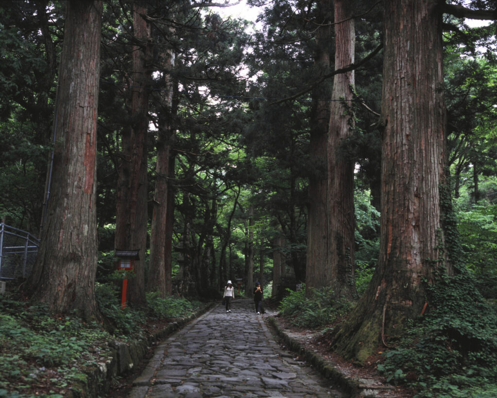 大山寺周辺 (石畳)
