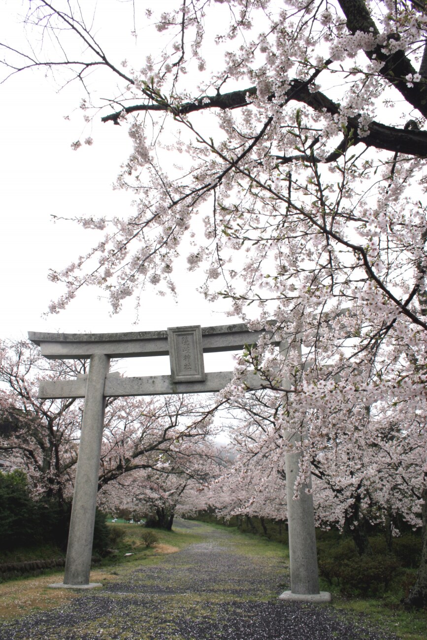 隠岐神社