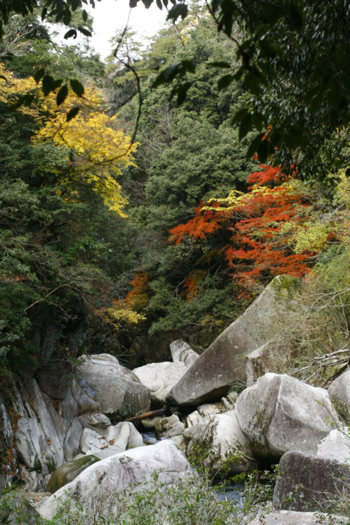 鬼の舌震 紅葉