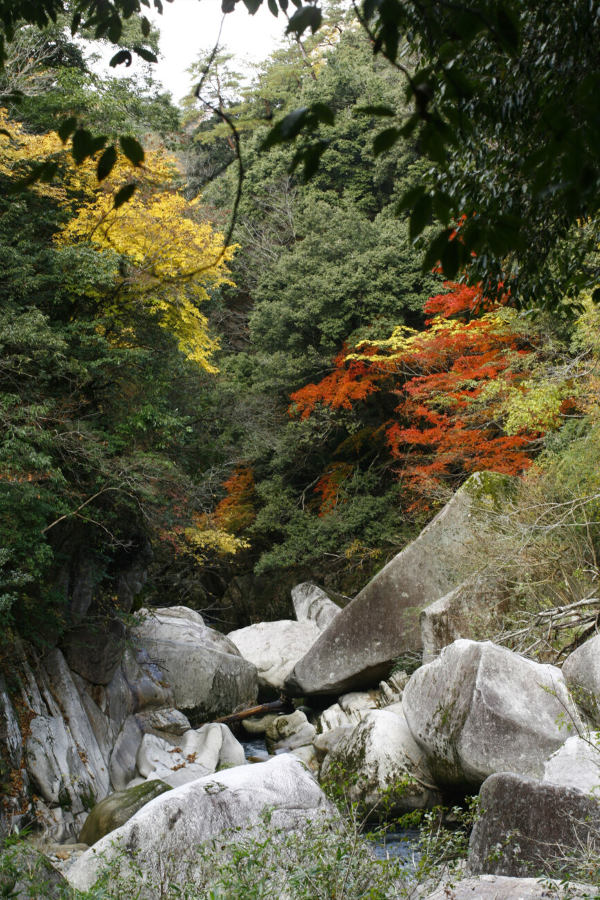 鬼の舌震の紅葉