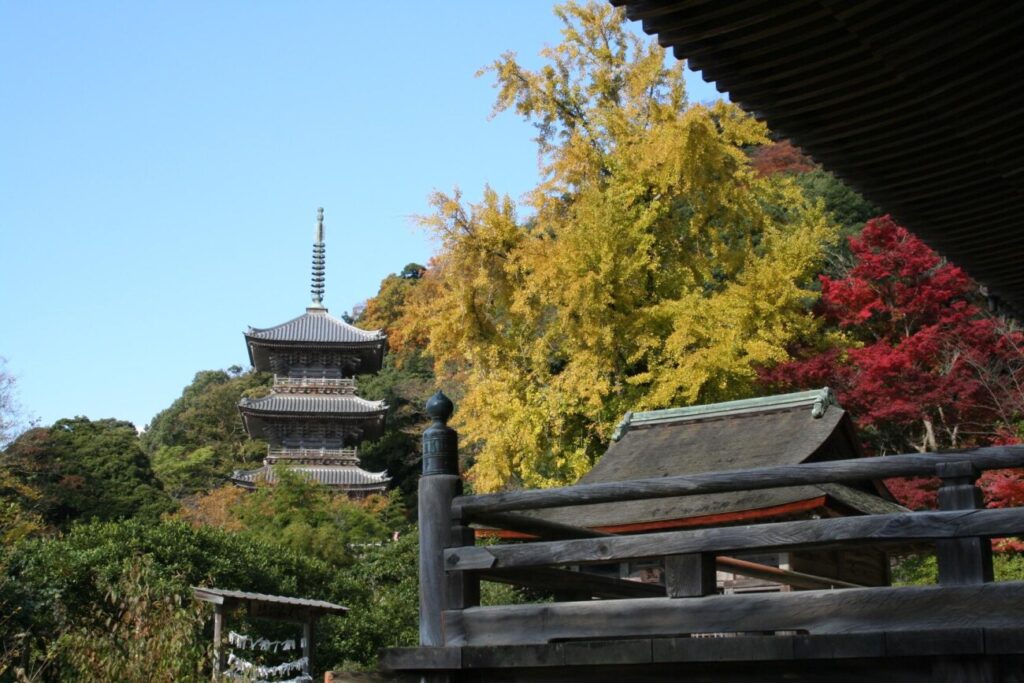 清水寺 紅葉