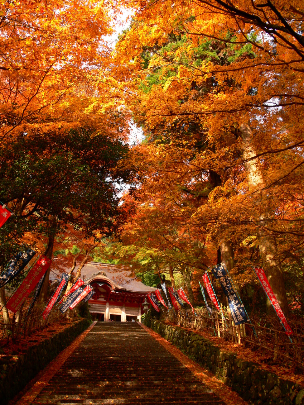 鰐淵寺の紅葉