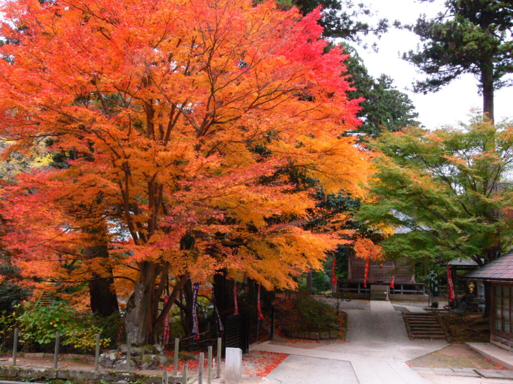 清水寺 紅葉