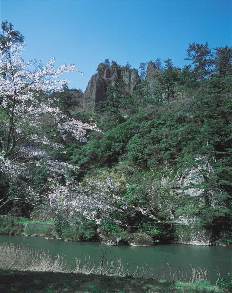立久恵峡 春