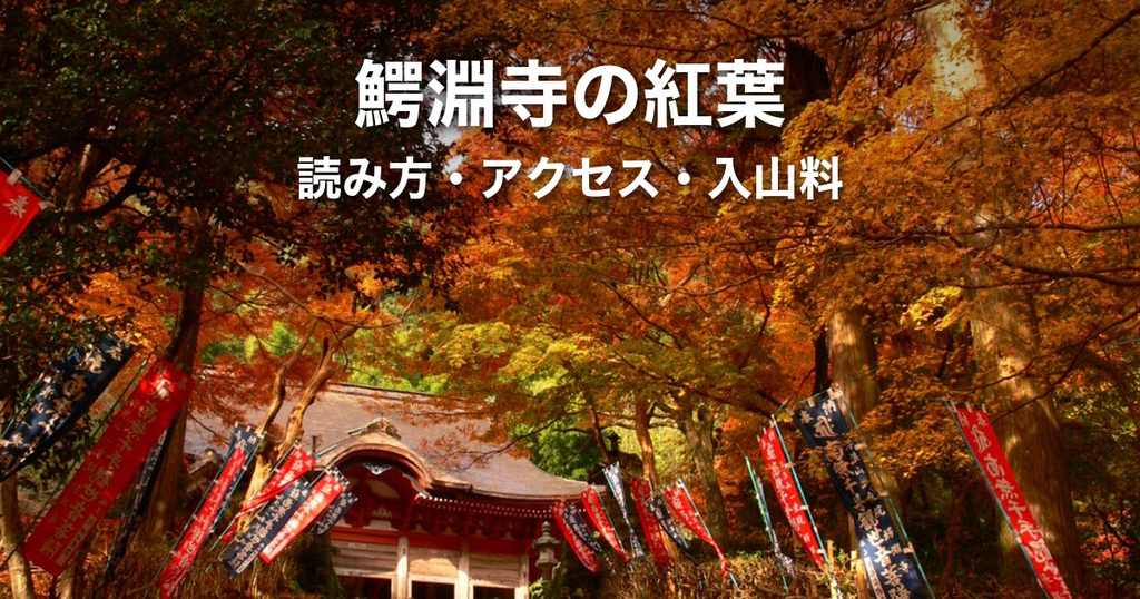 鰐淵寺（がくえんじ）完全ガイド｜紅葉の見頃・アクセス・入山料