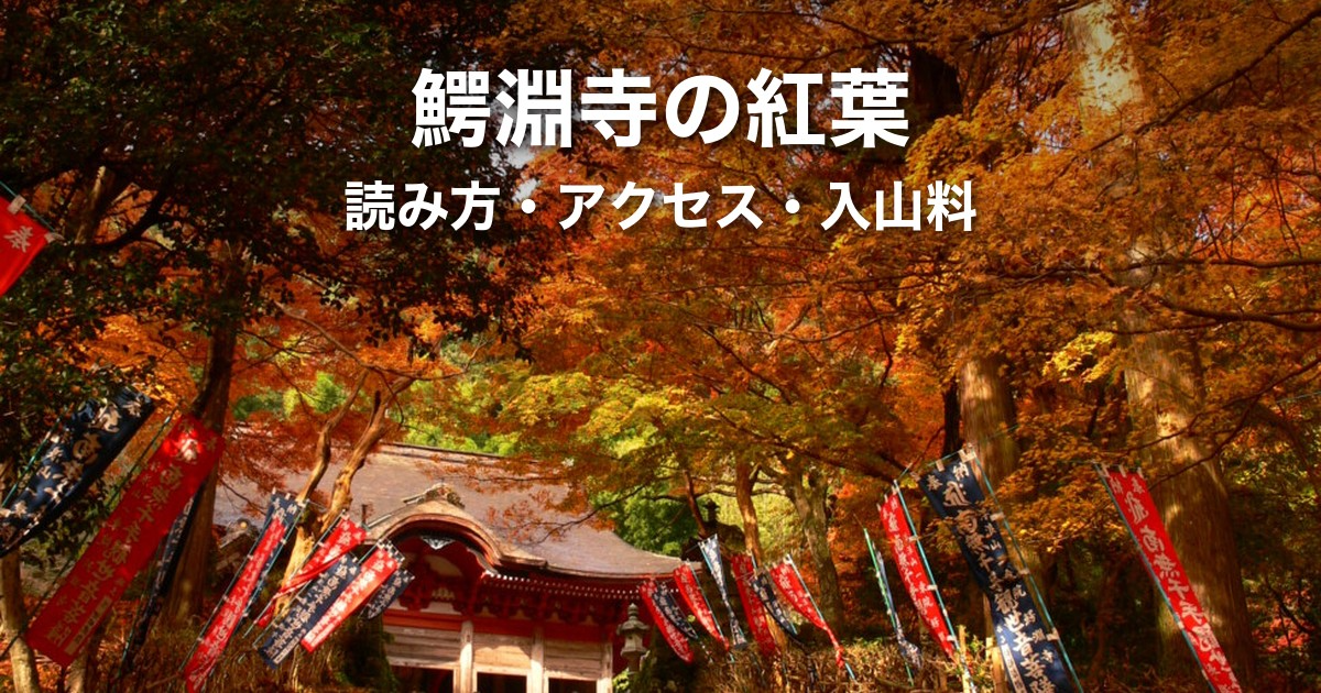 鰐淵寺(がくえんじ)完全ガイド|紅葉の見頃・アクセス・入山料