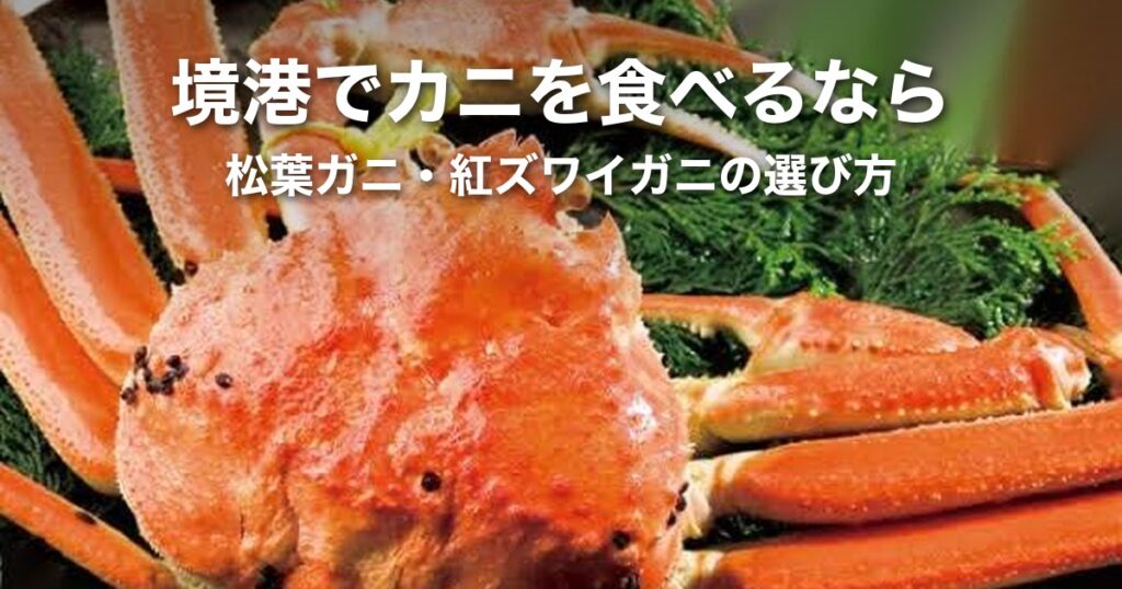 境港でカニを食べるなら|松葉ガニ・紅ズワイガニの時期と店の選び方【2026年】