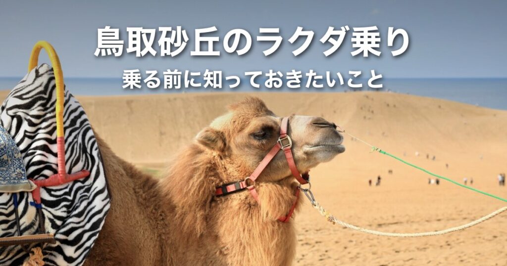 鳥取砂丘のラクダ乗りは「かわいそう」？乗る前に知っておきたいこと