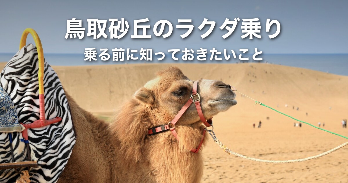 鳥取砂丘のラクダ乗りは「かわいそう」？乗る前に知っておきたいこと