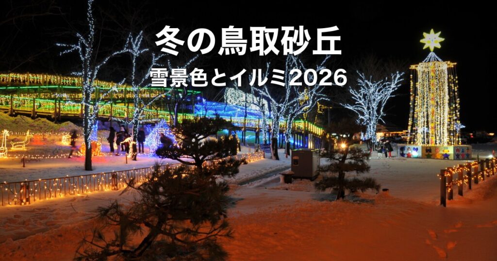 冬の鳥取砂丘｜雪景色とイルミネーション2026の時期・行き方・帰りの足